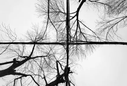 Crystal Casino Mobiilirakendus